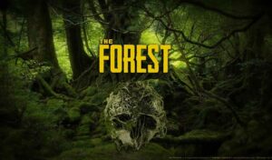 the forest