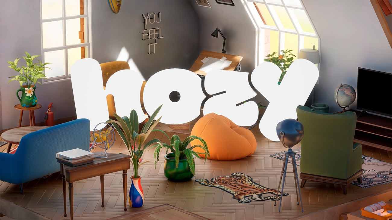 hozy nintendo switch