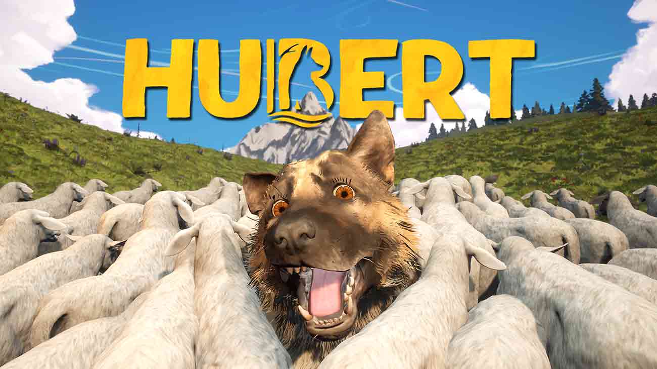 hubert nintendo switch
